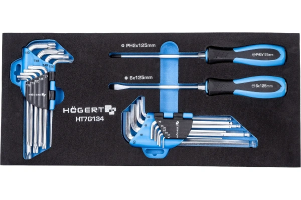 Набор отверток HOEGERT ключи HEX/TORX ложемент EVA  HT7G134