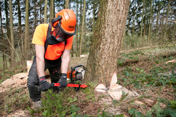 Валочная лопатка OREGON  536304 в Екатеринбурге