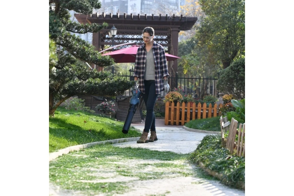 Воздуходувка аккумуляторная SENIX  BLAX6-M1-EU в Казани