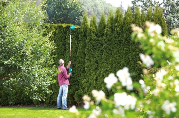 Телескопические аккумуляторные ножницы для живой изгороди Gardena THS Li-18/42 08881-55.000.00 в Екатеринбурге